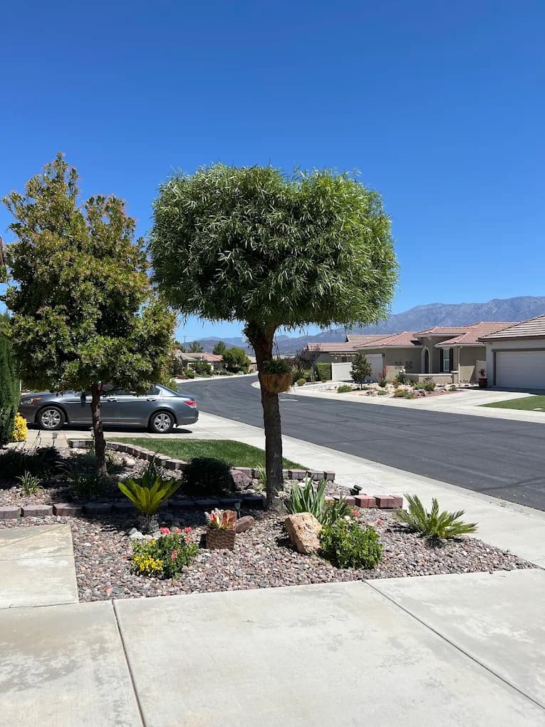 Residential tree service